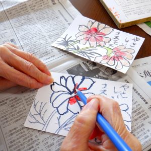 コスモスの絵手紙（10/24）