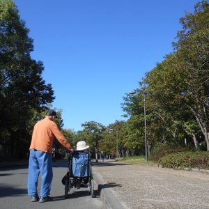 秋風を感じて・・・。～デイサービス　長居公園散歩　2024.10～