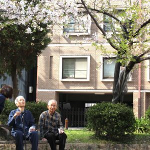 おもいっきり春！hanami！　～デイサービス　2025.4～