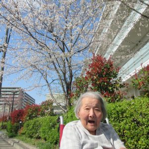 お花見